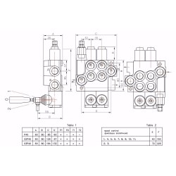 Monoblock Directional Control Valve 40 L/Min (11GPM) 2 Section With Joystick + Swimming Function