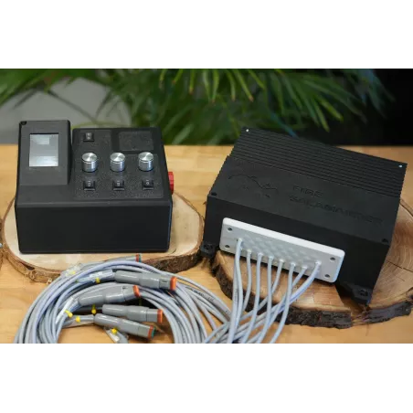Fire Salamander Medium with 3 potentiometers + 3 switches forward/0/backward