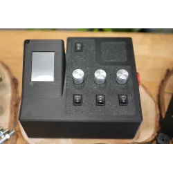Fire Salamander Medium with 3 potentiometers + 3 switches forward/0/backward