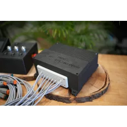Fire Salamander Medium with 3 potentiometers + 3 switches forward/0/backward