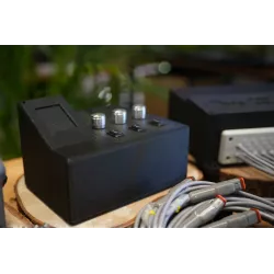 Fire Salamander Medium with 3 potentiometers + 3 switches forward/0/backward