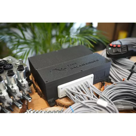 10 Functions Walvoil DPX100 with 1 Joystick AJW with MTH handle + ecu box with electronic for extension