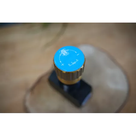 Throttle Valve FT 257/2 with Scale Knob