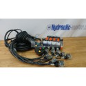 4 positions joystick 5 buttons + Monoblock Vave 4-spool hydraulic solenoid 50 l/min 13GPM 12VDC